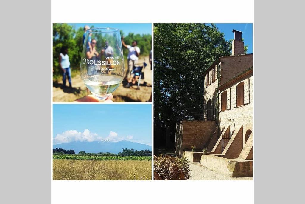 Gite De Charme Du Domaine Pagnon Guillemette ตูเรย์ลส์ ภายนอก รูปภาพ