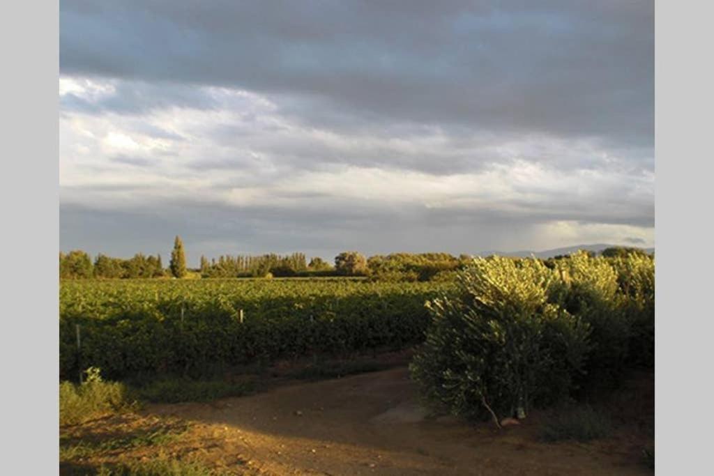Gite De Charme Du Domaine Pagnon Guillemette ตูเรย์ลส์ ภายนอก รูปภาพ
