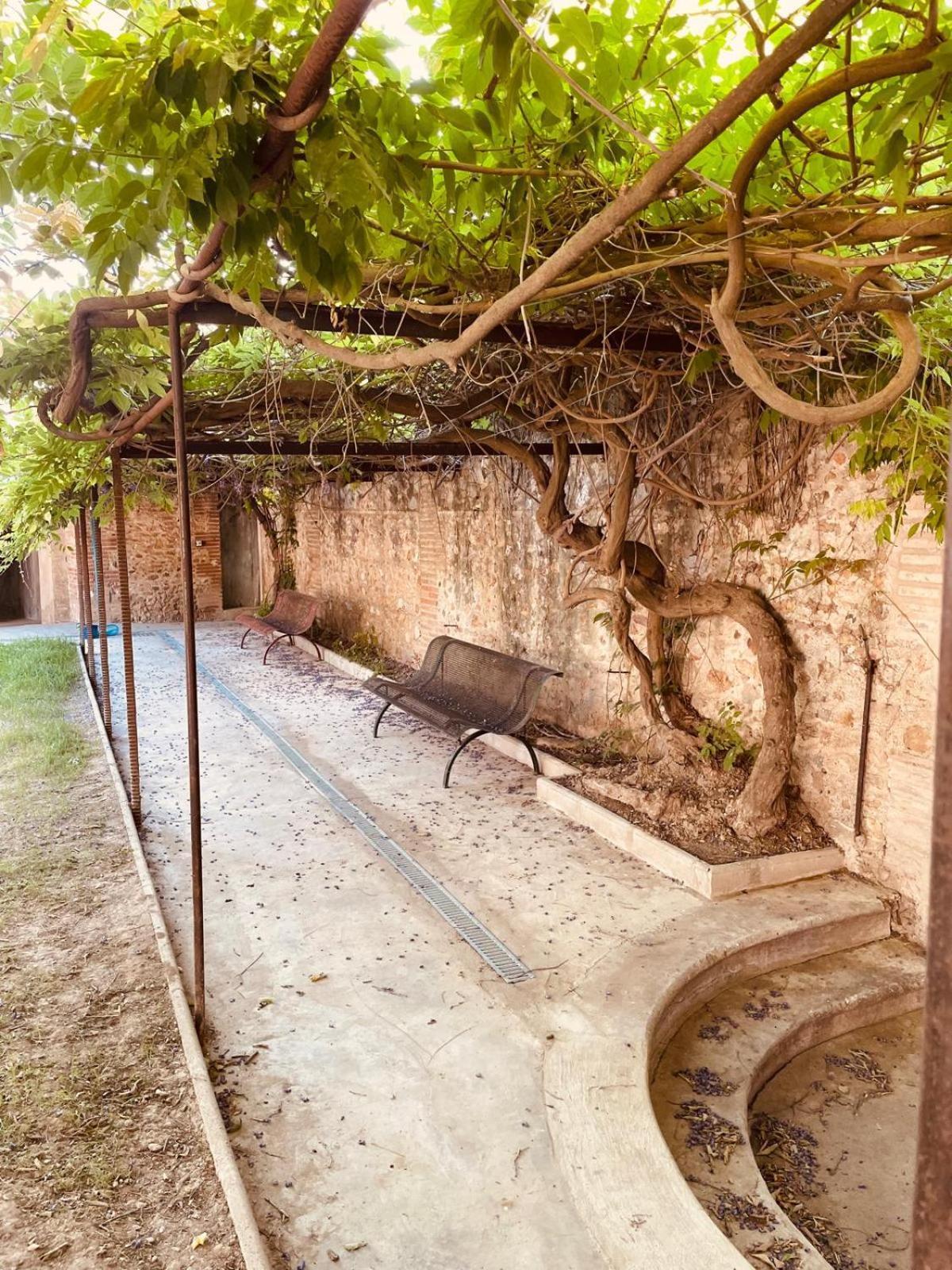 Gite De Charme Du Domaine Pagnon Guillemette ตูเรย์ลส์ ภายนอก รูปภาพ